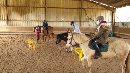 Équitation