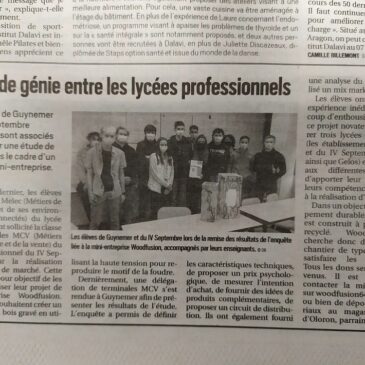 Éclair de génie entre les lycées professionnels